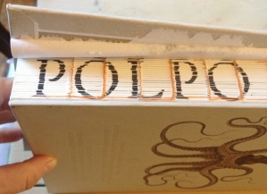 image of polpo a venetian book of sorts with broken binding